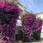 In Riviera Pietra Ligure